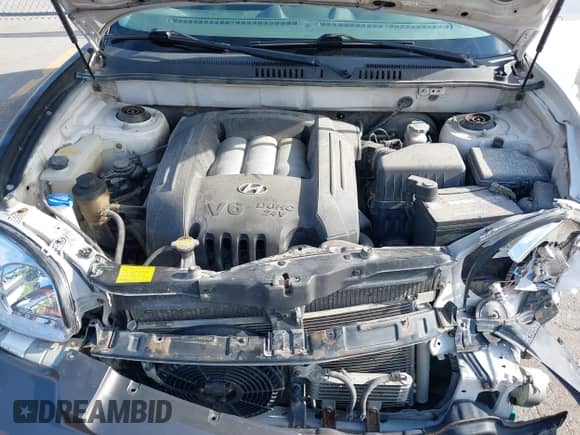 2003 Hyundai Santa Fe GLS с VIN KM8SC73D43U425401, выставлен на аукционе IAAI как лот 42760756 с пробегом 190 045 миль миль и . История ставок и продаж доступна на DreamBid. Изображение 10.