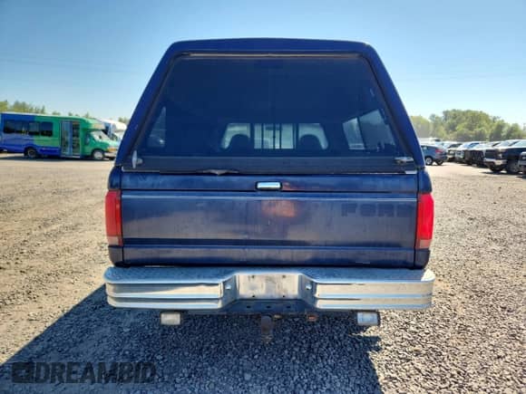1995 Ford F-150 with VIN 1FTDF15Y3SLB90673, listed as a Copart auction lot 68581845 with 186,799 mi miles and Clean title. Bid and sale history available at DreamBid. Image 6.