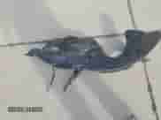 2019 Volkswagen Tiguan S с VIN 3VV0B7AX1KM019768, выставлен на аукционе Copart как лот 71873825 с пробегом 67 283 миль миль и Списание • Salvage title. История ставок и продаж доступна на DreamBid. Изображение 13.