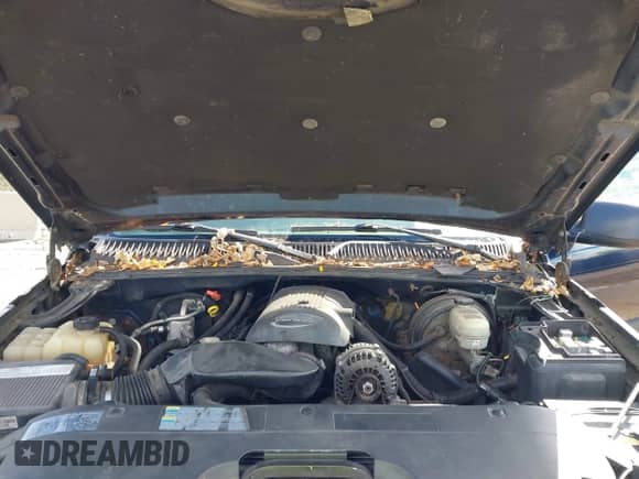 2005 Chevrolet Silverado 1500 LS с VIN 2GCEK13T551396840, выставлен на аукционе IAAI как лот 43411518 с пробегом Не указан миль и . История ставок и продаж доступна на DreamBid. Изображение 10.