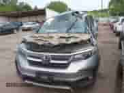 2019 Honda Pilot EX-L with VIN 5FNYF5H50KB025287, listed as a IAAI auction lot 42741655 with Not provided miles and . Bid and sale history available at DreamBid. Image 13.