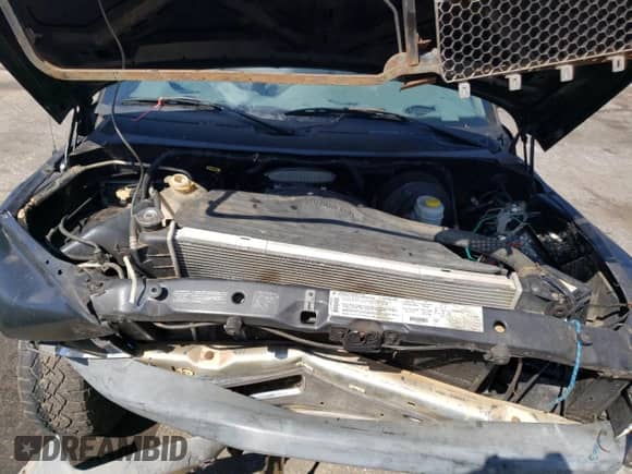 1998 Dodge 1500 с VIN 1B7HC16Y9WS771549, выставлен на аукционе Copart как лот 73410164 с пробегом Не указан миль и Списание • Salvage title. История ставок и продаж доступна на DreamBid. Изображение 12.