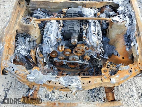 2009 Ford Mustang Shelby GT500 z VIN 1ZVHT88S595134711, wystawiony jako Copart lot #59057504 z przebiegiem Nie podano mil oraz Czysty tytuł • Clean title. Historia ofert i sprzedaży dostępna na DreamBid. Obrazek 11.