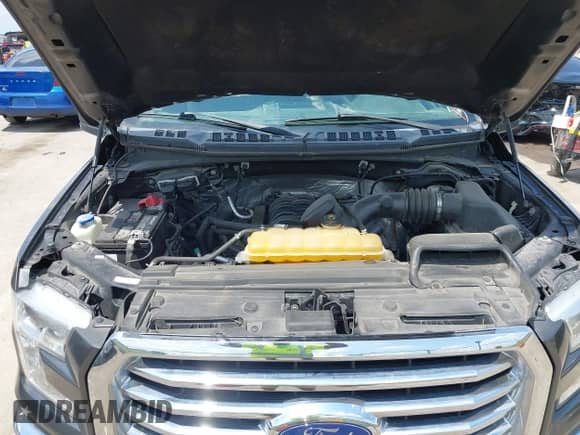 2017 Ford F-150 XL z VIN 1FTEW1EF4HKC72574, wystawiony jako IAAI lot #42578916 z przebiegiem 146 022 mil mil oraz . Historia ofert i sprzedaży dostępna na DreamBid. Obrazek 10.