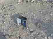 2022 Chevrolet Malibu LT z VIN 1G1ZD5ST3NF127922, wystawiony jako IAAI lot #43351328 z przebiegiem 82 036 mil mil oraz . Historia ofert i sprzedaży dostępna na DreamBid. Obrazek 12.