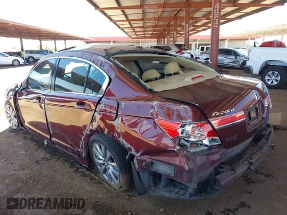 2011 Honda Accord EX-L with VIN 1HGCP2F81BA103119, listed as a IAAI auction lot 42588588 with Not provided miles and . Bid and sale history available at DreamBid. Image 3.