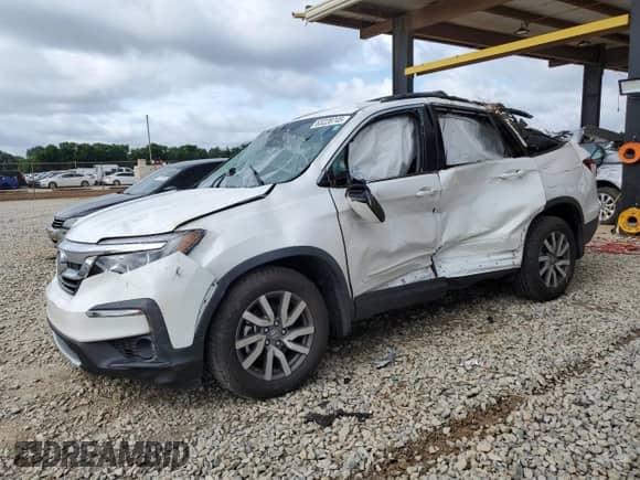 2022 Honda Pilot EX-L with VIN 5FNYF6H54NB034908, listed as a Copart auction lot 63228745 with 50,018 mi miles and Salvage title. Bid and sale history available at DreamBid. Image 1.