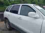 2002 Hyundai Santa Fe z VIN KM8SB12B22U306647, wystawiony jako IAAI lot #42311771 z przebiegiem Nie podano mil oraz . Historia ofert i sprzedaży dostępna na DreamBid. Obrazek 13.