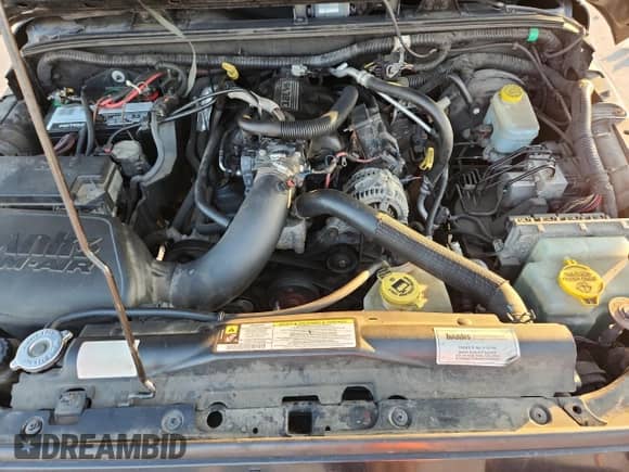 2008 Jeep Wrangler Sahara с VIN 1J8FA54158L589606, выставлен на аукционе Copart как лот 82117285 с пробегом 143 741 миль миль и Чистый • Clean title. История ставок и продаж доступна на DreamBid. Изображение 11.