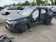 2025 Chevrolet Equinox AWD ACTIV with VIN 3GNAXSEG9SL189729, listed as a Copart auction lot 65902915 with Not provided miles and Salvage title. Bid and sale history available at DreamBid. Image 1.