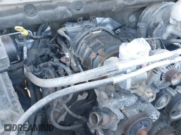 2009 Dodge 1500 Sport with VIN 1D3HV18T89S759738, listed as a IAAI auction lot 42570658 with 236,760 mi miles and . Bid and sale history available at DreamBid. Image 18.
