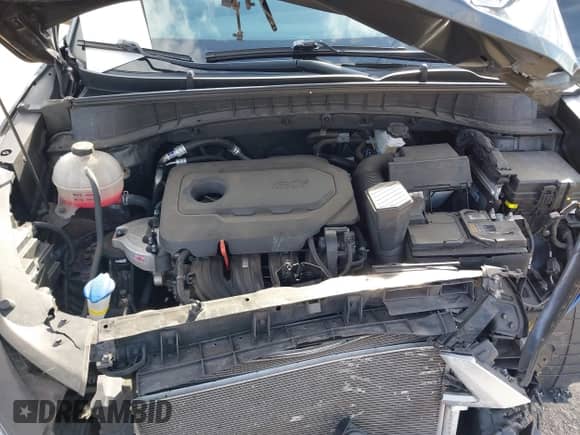 2021 Hyundai Tucson Sport с VIN KM8J3CAL6MU411855, выставлен на аукционе IAAI как лот 41694634 с пробегом 67 779 миль миль и . История ставок и продаж доступна на DreamBid. Изображение 10.