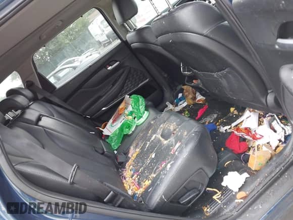 2020 Hyundai Santa Fe SEL with VIN 5NMS3CAA7LH296888, listed as a IAAI auction lot 42442612 with 71,216 mi miles and . Bid and sale history available at DreamBid. Image 8.