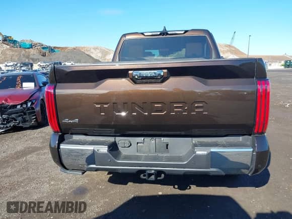 2024 Toyota Tundra 1794 Edition with VIN 5TFMA5DB1RX201000, listed as a IAAI auction lot 42174097 with 7,110 mi miles and . Bid and sale history available at DreamBid. Image 16.