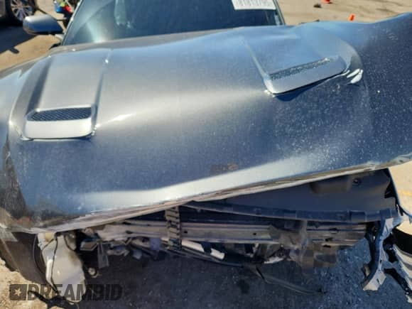 2019 Ford Mustang GT with VIN 1FA6P8CF3K5196516, listed as a Copart auction lot 81813795 with 35,311 mi miles and Salvage title. Bid and sale history available at DreamBid. Image 11.