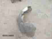 2012 Ford F-150 XL with VIN 1FTFW1ET8CFB10913, listed as a IAAI auction lot 43043237 with 176,505 mi miles and . Bid and sale history available at DreamBid. Image 12.