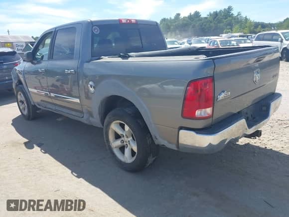 2009 Dodge 1500 SLT with VIN 1D3HV13T19S768725, listed as a IAAI auction lot 42997064 with 165,834 mi miles and . Bid and sale history available at DreamBid. Image 3.