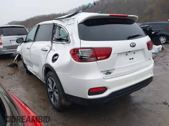 2020 Kia Sorento LX с VIN 5XYPGDA59LG664842, выставлен на аукционе IAAI как лот 41931693 с пробегом 68 316 миль миль и . История ставок и продаж доступна на DreamBid. Изображение 3.