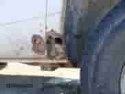 2003 Dodge Dakota с VIN 1D7HG12X43S345125, выставлен на аукционе IAAI как лот 41327861 с пробегом 312 385 миль миль и . История ставок и продаж доступна на DreamBid. Изображение 16.