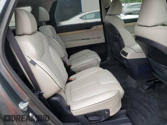 2023 Hyundai Palisade Limited с VIN KM8R5DGE8PU527865, выставлен на аукционе Copart как лот 71984805 с пробегом 35 368 миль миль и Списание • Salvage title. История ставок и продаж доступна на DreamBid. Изображение 10.