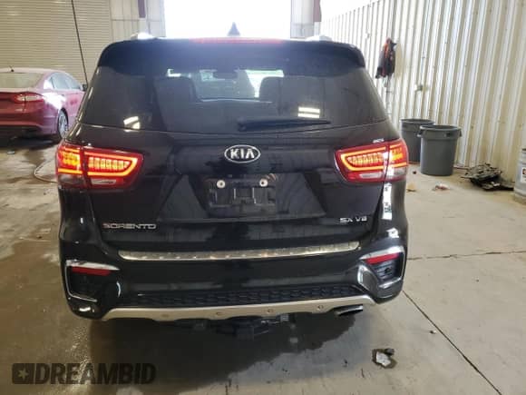 2019 Kia Sorento SX Limited with VIN 5XYPKDA51KG500451, listed as a Copart auction lot 61196805 with 54,376 mi miles and Salvage title. Bid and sale history available at DreamBid. Image 6.