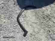 2024 Jeep Grand Cherokee Altitude z VIN 1C4RJGAG5RC261080, wystawiony jako Copart lot #70548745 z przebiegiem 4 769 mil mil oraz Szkoda całkowita • Salvage title. Historia ofert i sprzedaży dostępna na DreamBid. Obrazek 12.