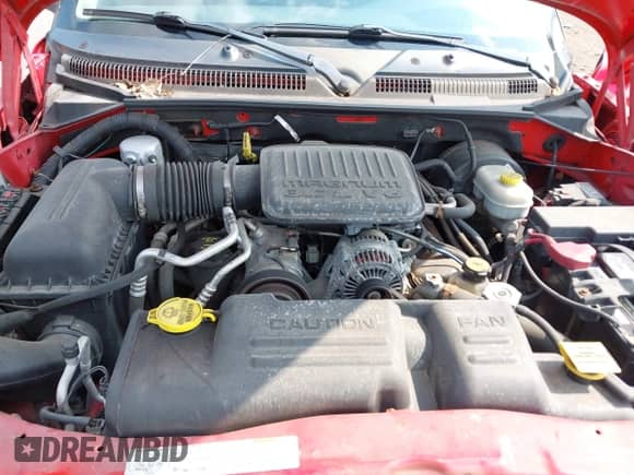 2004 Dodge Dakota SLT with VIN 1D7GL42K94S711742, listed as a IAAI auction lot 43113501 with Not provided miles and . Bid and sale history available at DreamBid. Image 10.