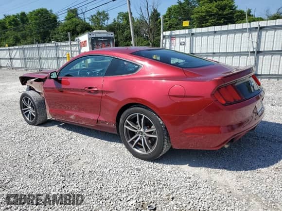 2016 Ford Mustang EcoBoost with VIN 1FA6P8TH2G5336421, listed as a Copart auction lot 63184035 with 81,831 mi miles and Salvage title. Bid and sale history available at DreamBid. Image 2.