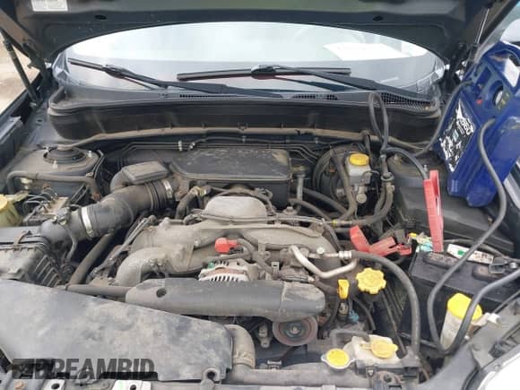 2010 Subaru Forester X Limited with VIN JF2SH6DC1AH725281, listed as a IAAI auction lot 43042756 with Not provided miles and . Bid and sale history available at DreamBid. Image 10.