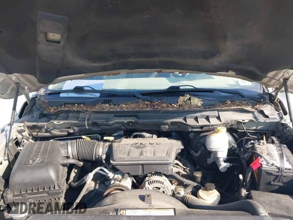 2009 Dodge 1500 ST с VIN 1D3HV16PX9J506982, выставлен на аукционе IAAI как лот 42576995 с пробегом 172 796 миль миль и . История ставок и продаж доступна на DreamBid. Изображение 10.