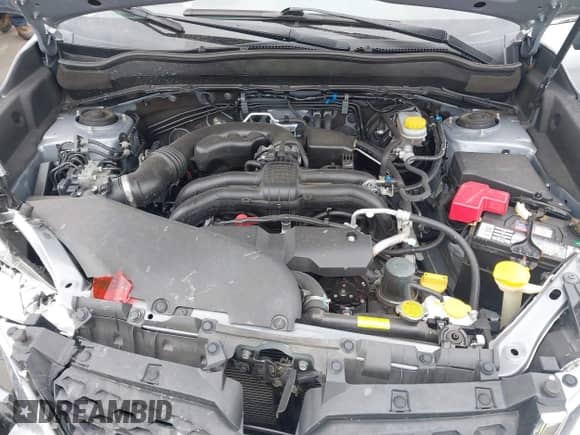 2016 Subaru Forester Touring с VIN JF2SJAXC0GH515055, выставлен на аукционе IAAI как лот 43251182 с пробегом 46 318 миль миль и . История ставок и продаж доступна на DreamBid. Изображение 10.