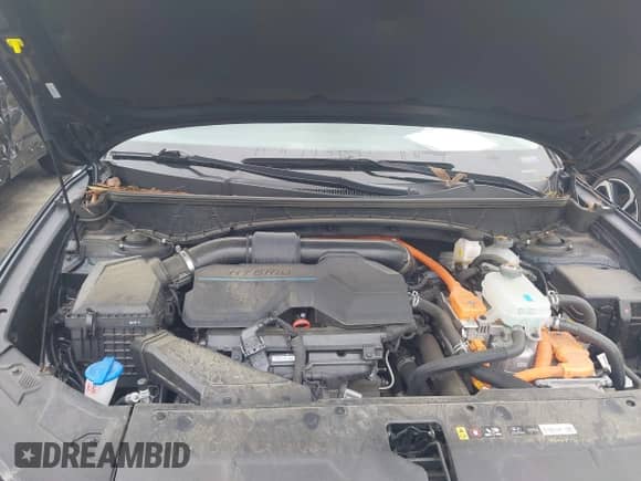2024 Hyundai Tucson Limited with VIN KM8JFDD24RU147915, listed as a IAAI auction lot 42934206 with 33,952 mi miles and . Bid and sale history available at DreamBid. Image 10.
