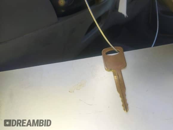 2002 Ford F-150 XL with VIN 1FTRX17L52KD02741, listed as a IAAI auction lot 43570724 with 230,115 mi miles and . Bid and sale history available at DreamBid. Image 11.