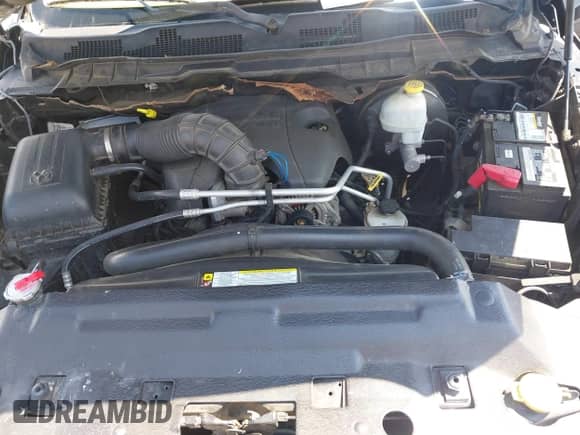 2011 Ram 1500 Outdoorsman with VIN 1D7RV1CT2BS531766, listed as a IAAI auction lot 42667044 with 220,722 mi miles and . Bid and sale history available at DreamBid. Image 10.