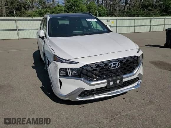 2023 Hyundai Santa Fe Calligraphy с VIN 5NMS5DAL5PH490567, выставлен на аукционе Copart как лот 67538145 с пробегом 56 636 миль миль и Списание • Salvage title. История ставок и продаж доступна на DreamBid. Изображение 14.