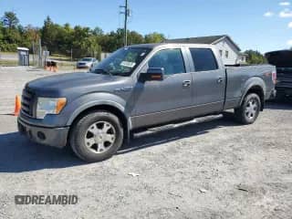 2009 Ford F-150 XL with VIN 1FTPW14V49KB97586, listed as a Copart auction lot 81350635 with 142,624 mi miles and Clean title. Bid and sale history available at DreamBid. Image 1.