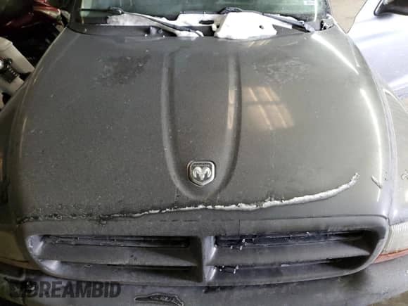 2003 Dodge Dakota Sport with VIN 1D7HG38X43S229006, listed as a Copart auction lot 44932005 with 226,935 mi miles and Salvage title. Bid and sale history available at DreamBid. Image 13.