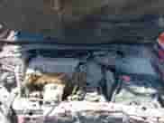 2016 Honda Accord LX-S с VIN 1HGCT1B34GA013339, выставлен на аукционе IAAI как лот 42911512 с пробегом 9 999 миль миль и . История ставок и продаж доступна на DreamBid. Изображение 10.