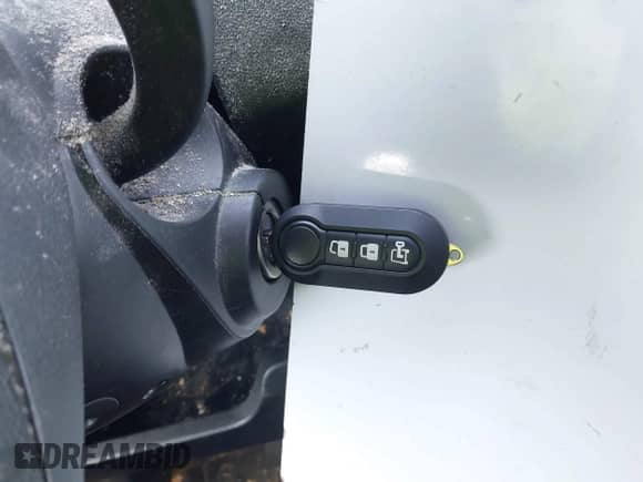 2020 Ram ProMaster Cargo с VIN 3C6URVJG9LE114730, выставлен на аукционе IAAI как лот 42562769 с пробегом 343 727 миль миль и . История ставок и продаж доступна на DreamBid. Изображение 11.