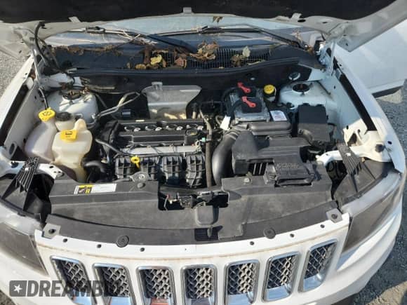 2016 Jeep Compass Latitude with VIN 1C4NJCEA7GD777378, listed as a Copart auction lot 56390385 with 123,186 mi miles and Salvage title. Bid and sale history available at DreamBid. Image 11.