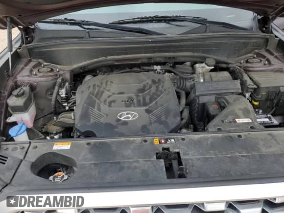 2021 Hyundai Palisade Limited с VIN KM8R54HE4MU211017, выставлен на аукционе Copart как лот 70238884 с пробегом 42 821 миль миль и Списание • Salvage title. История ставок и продаж доступна на DreamBid. Изображение 12.