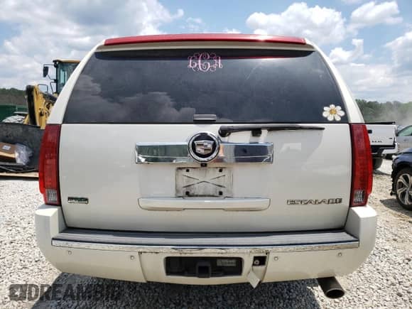2010 Cadillac Escalade ESV Premium with VIN 1GYUKJEF5AR218683, listed as a Copart auction lot 55533974 with 245,499 mi miles and Salvage title. Bid and sale history available at DreamBid. Image 6.