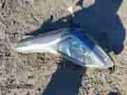 2014 Hyundai Elantra Limited с VIN KMHDH4AE3EU050186, выставлен на аукционе IAAI как лот 43059725 с пробегом 97 288 миль миль и . История ставок и продаж доступна на DreamBid. Изображение 12.