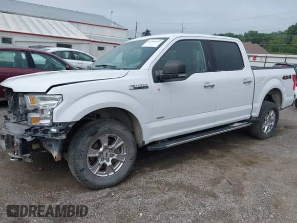 2017 Ford F-150 XL with VIN 1FTEW1EP9HKD23558, listed as a IAAI auction lot 42782312 with 176,211 mi miles and . Bid and sale history available at DreamBid. Image 2.