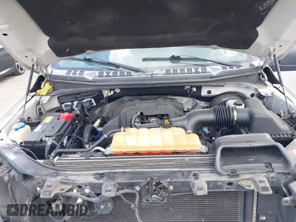 2018 Ford F-150 XL with VIN 1FTEW1CP6JFA35949, listed as a IAAI auction lot 42322549 with 104,044 mi miles and . Bid and sale history available at DreamBid. Image 10.