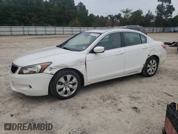 2009 Honda Accord EX-L with VIN 1HGCP36869A003484, listed as a Copart auction lot 80741525 with 82,762 mi miles and Clean title. Bid and sale history available at DreamBid. Image 1.