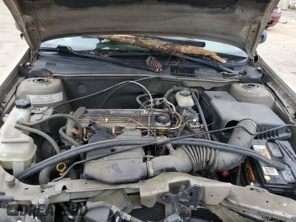 2004 Chevrolet Malibu Classic z VIN 1G1ND52FX4M583080, wystawiony jako Copart lot #70203504 z przebiegiem Nie podano mil oraz Szkoda całkowita • Salvage title. Historia ofert i sprzedaży dostępna na DreamBid. Obrazek 11.