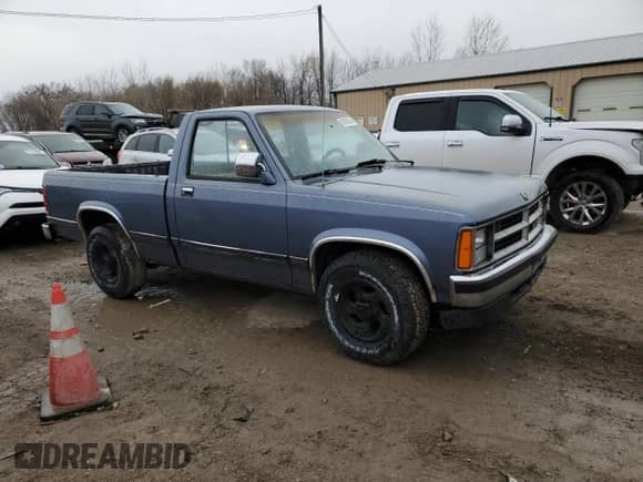 1989 Dodge Dakota with VIN 1B7FL26X3KS146546, listed as a Copart auction lot 81859624 with 16,824 mi miles and Clean title. Bid and sale history available at DreamBid. Image 4.