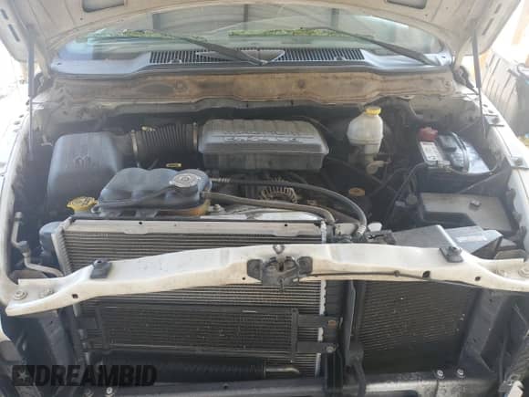 2003 Dodge 1500 ST with VIN 1D7HA16N93J603767, listed as a Copart auction lot 72036405 with 211,463 mi miles and Salvage title. Bid and sale history available at DreamBid. Image 11.