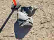 2015 Ram 1500 Tradesman with VIN 1C6RR7KM7FS564772, listed as a Copart auction lot 81670045 with 228,639 mi miles and Clean title. Bid and sale history available at DreamBid. Image 12.